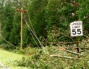 Downed power lines can be deadly.